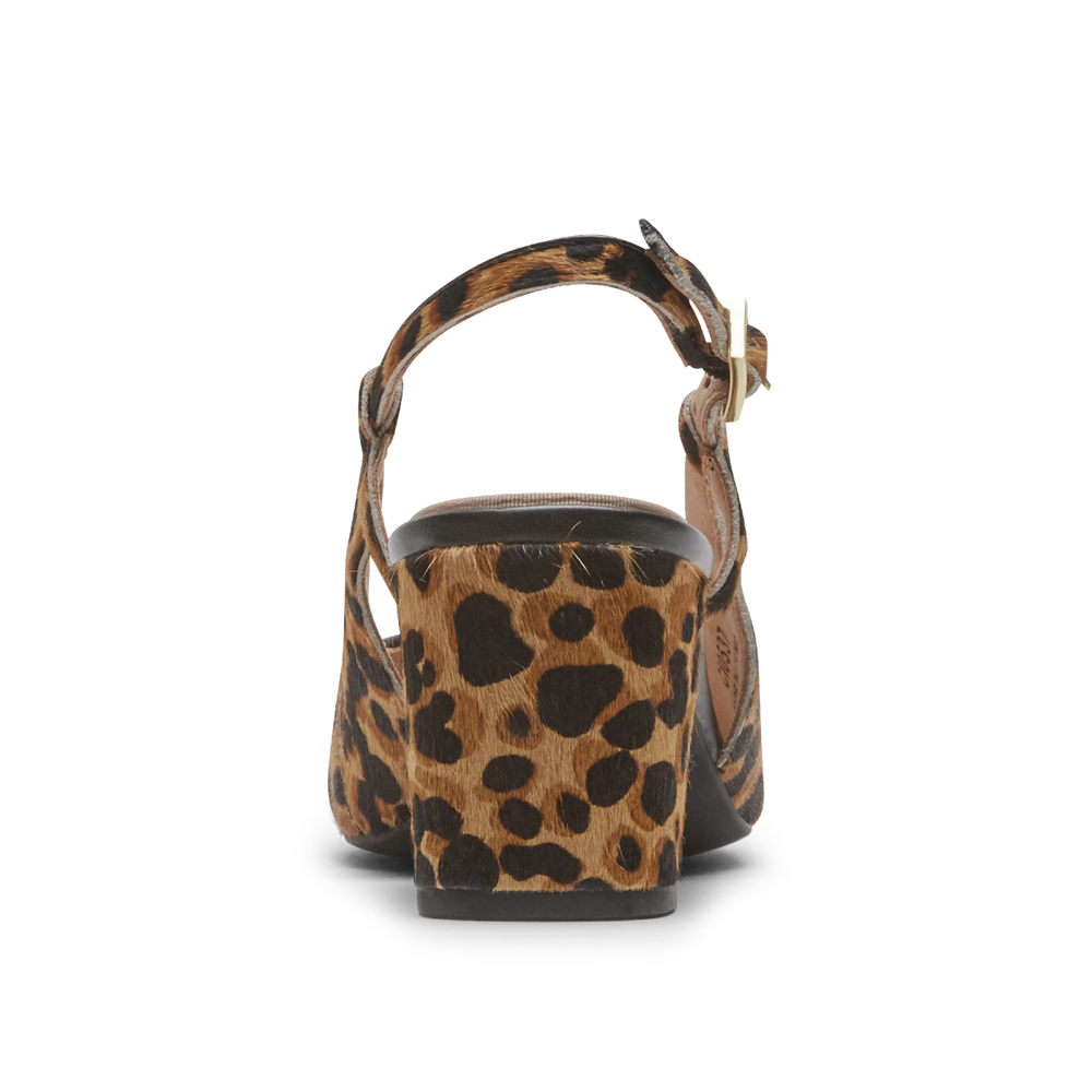 Rockport Womens Slingback Leopard - Total Motion Salima Posted - UK 741-ICNTVB